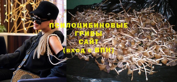 трава Армянск
